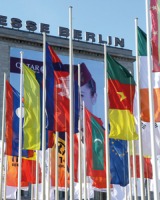 Interprete Lingua TEDESCA